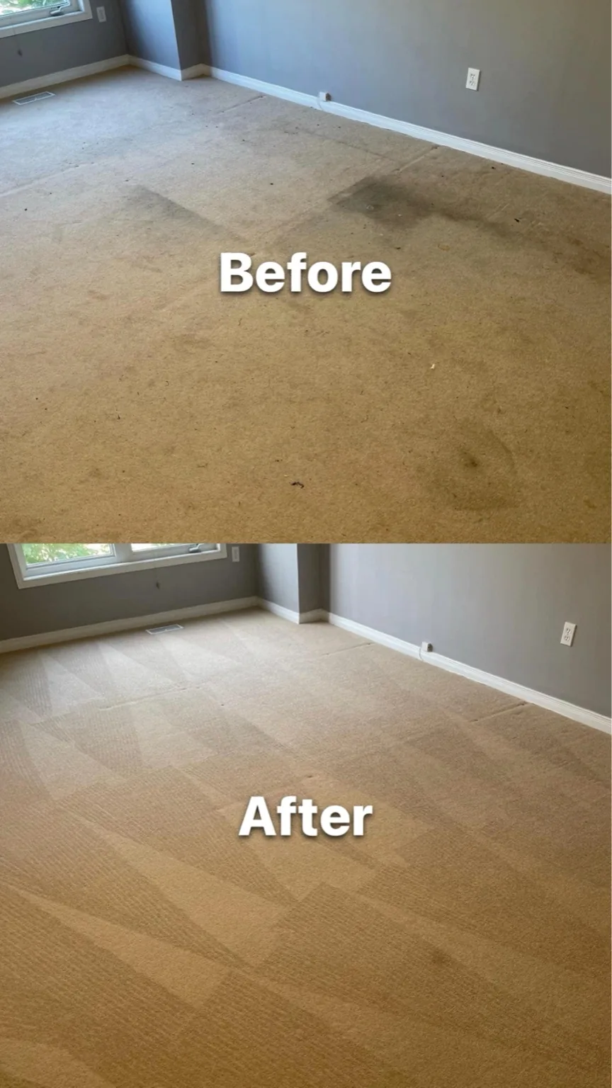 Stacked before-and-after carpet comparison showing a dark stained area and the cleaned room carpet