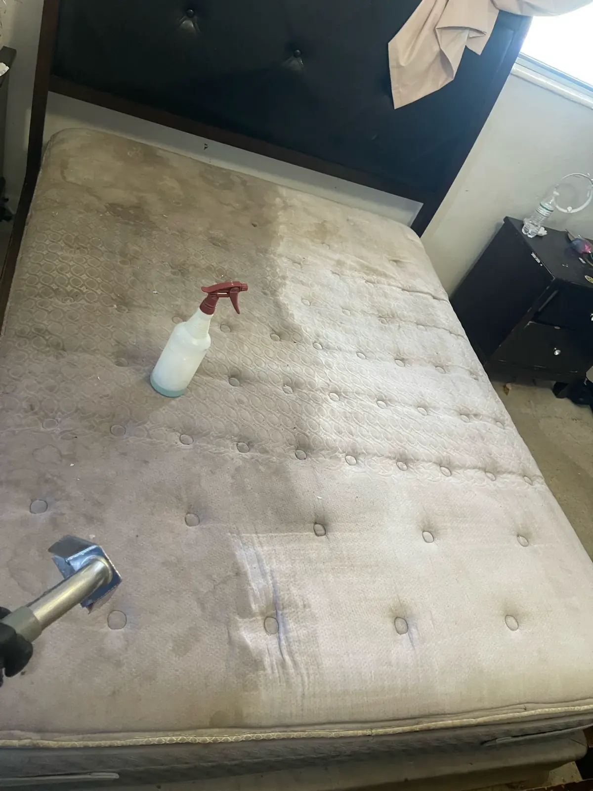 Real Steamly Pro before and after cleaning result